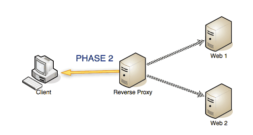 web-nginx-reverseproxy